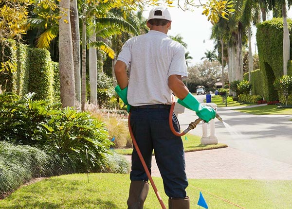 About Milford MI Pest Control